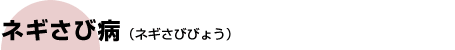 ˂ѕa