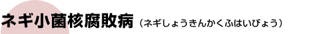 ˂ۊjsa