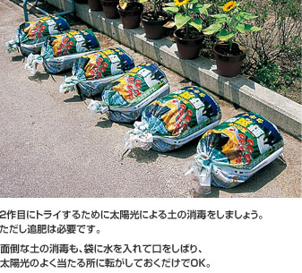 面倒な土の消毒も、袋に水を入れて口をしばり、太陽光のよく当たる所に転がしておくだけでOK。