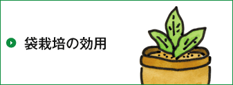 袋で野菜をつくろう タキイ種苗株式会社