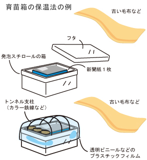 トマト 袋栽培でつくれる野菜 袋で野菜をつくろう タキイ種苗株式会社