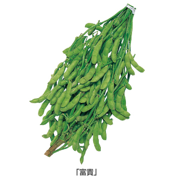 エダマメ 袋栽培でつくれる野菜 袋で野菜をつくろう タキイ種苗株式会社 エダマメ 袋栽培でつくれる野菜 袋で野菜をつくろう タキイ種苗株式会社