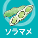 ソラマメ