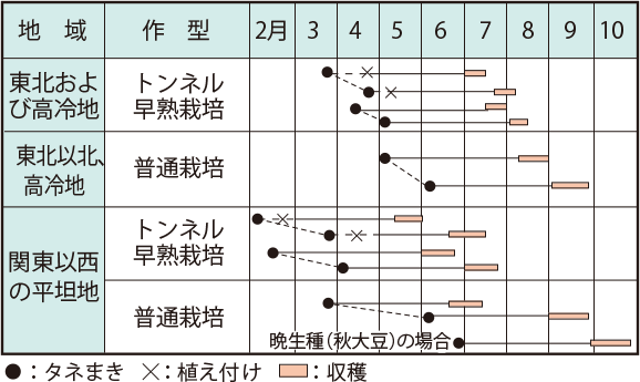 エダマメ イラスト家庭菜園 調べる タキイ種苗株式会社