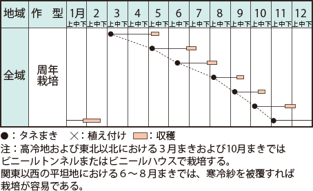 ツケナ類 イラスト家庭菜園 調べる タキイ種苗株式会社