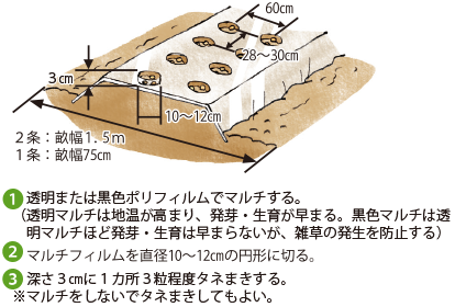 4}@XC[gR[̐āA}`у^l܂