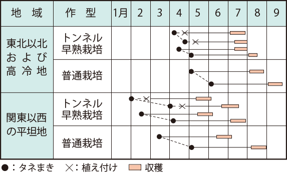 1}@XC[gR[̍^