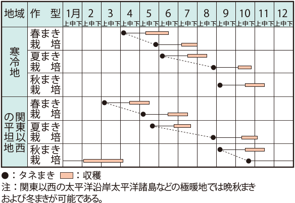 シュンギク イラスト家庭菜園 調べる タキイ種苗株式会社