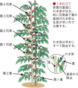 10} g}ĝ킫菜