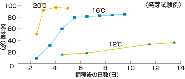 タキイのスイートコーン栽培マニュアル 野菜栽培マニュアル 調べる タキイ種苗株式会社