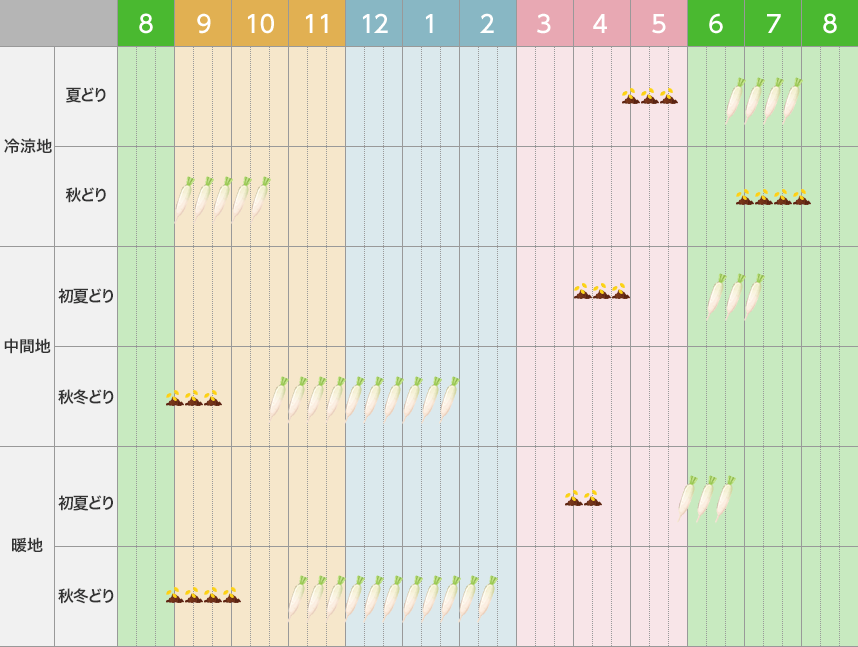 タキイのダイコン栽培マニュアル 野菜栽培マニュアル 調べる タキイ種苗株式会社