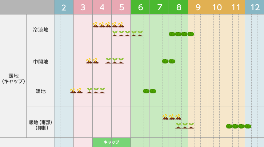 タキイのカボチャ栽培マニュアル 野菜栽培マニュアル 調べる タキイ種苗株式会社