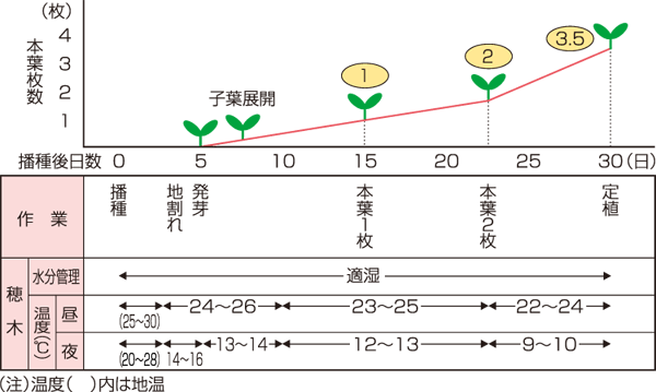 タキイのカボチャ栽培マニュアル 野菜栽培マニュアル 調べる タキイ種苗株式会社