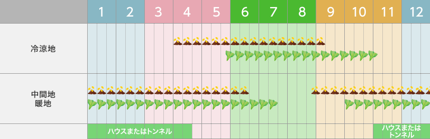 タキイのコマツナ栽培マニュアル 野菜栽培マニュアル 調べる タキイ種苗株式会社