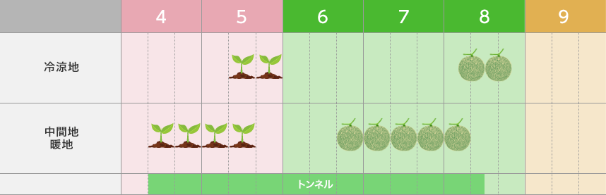 タキイのメロン栽培マニュアル 野菜栽培マニュアル 調べる タキイ種苗株式会社