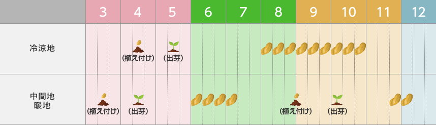 タキイのジャガイモ栽培マニュアル 野菜栽培マニュアル 調べる タキイ種苗株式会社