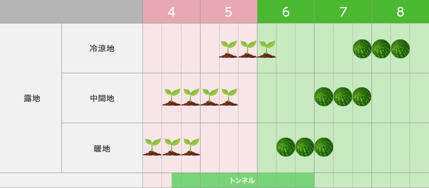 タキイのスイカ栽培マニュアル 野菜栽培マニュアル 調べる タキイ種苗株式会社