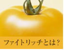 ファイトリッチとは？