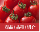 商品（品種）紹介