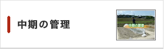 中期の管理