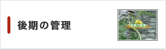 後期の管理