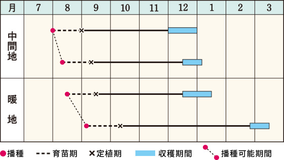 適作型