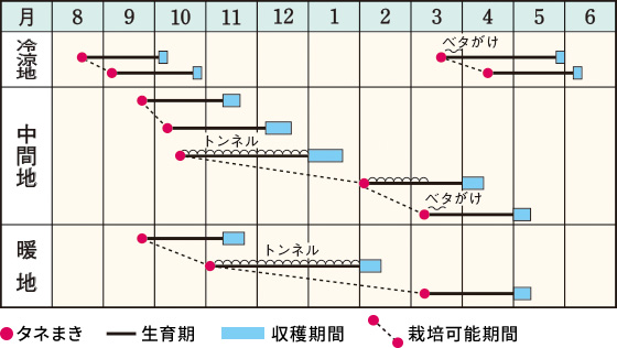 適作型