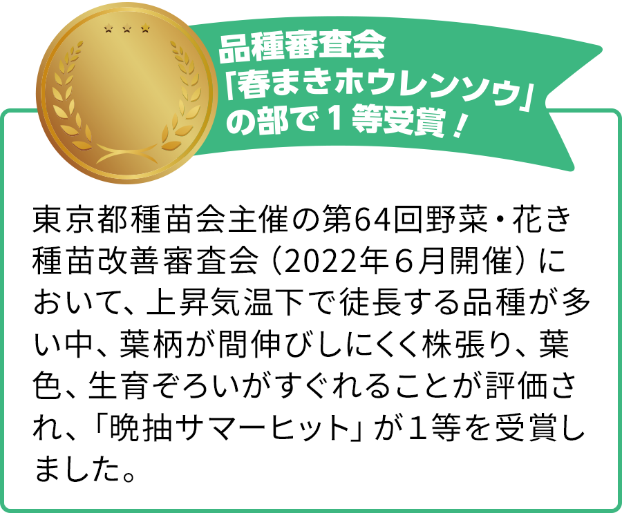 品種審査会「春まきホウレンソウ」の部で１等受賞！　東京都種苗会主催の第64回野菜・花き種苗改善審査会（2022年６月開催）において、上昇気温下で徒長する品種が多い中、葉柄が間伸びしにくく株張り、葉色、生育ぞろいがすぐれることが評価され、「晩抽サマーヒット」が１等を受賞しました。