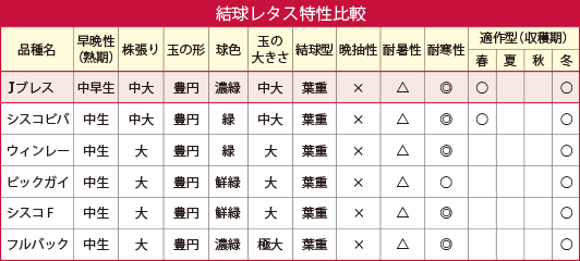 結球レタス特性比較