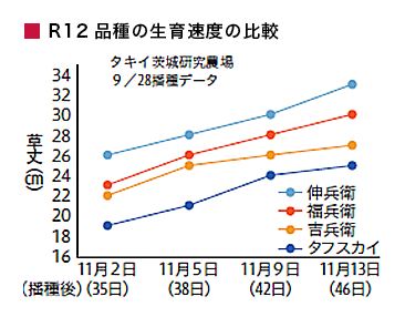 R12i̐瑬x̔r