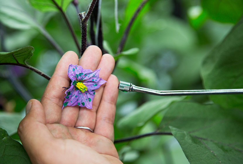 1�Ԃ��s���z�����������̓i�X���Y�̍�Ǝ��Ԃ�3�����߂�B