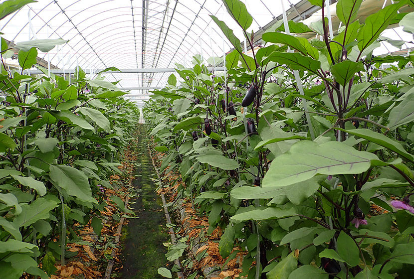 ���Ċ��̃n�E�X�����x��40���𒴂��邱�Ƃ����邪�A�uPC�ߊہv�̒��ʐ��͈��肵�Ă����B