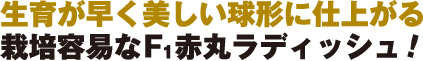 炪`Ɏdオ@͔|eՂF1ԊۃfBbV