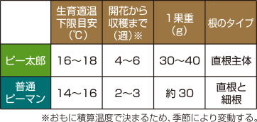 普通ピーマンとの比較