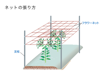 ネットの貼り方