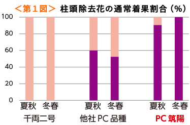 <第1図> 柱頭除去花の通常着果割合(%)
