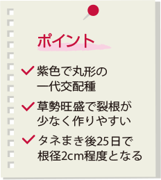 ポイント