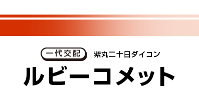 一代交配 ルビーコメット