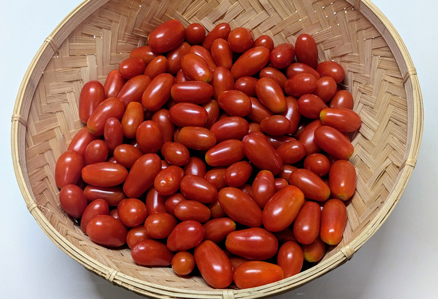 Nao����i8/3���e�j