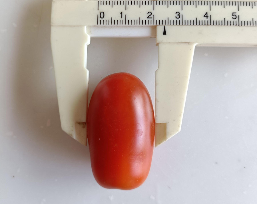 ebibi����i7/13���e�j