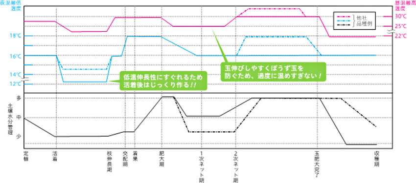 ̌s\@ԎSz