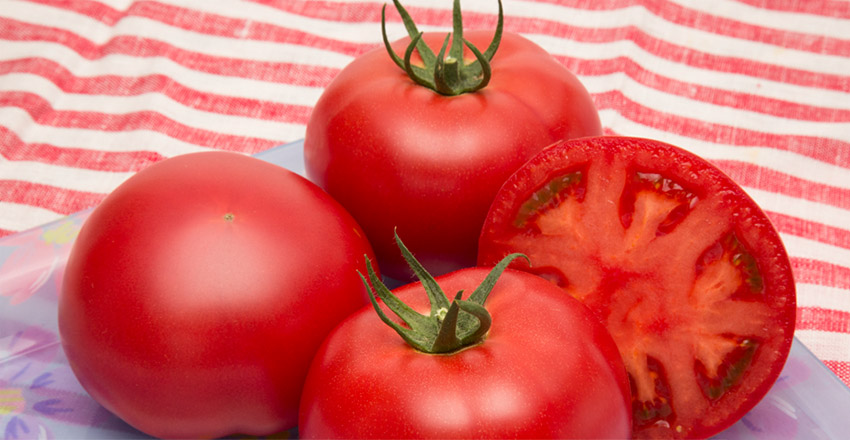 異常気象に強い品種選定と栽培技術 トマト編 | 品種ピックアップ | 最 