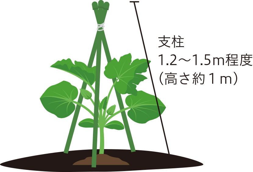 �x��1.2�`1.5m���x�i������Pm�j