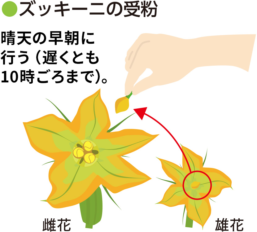 �Y�b�L�[�j�̎� ���V�̑����ɍs���i�x���Ƃ�10������܂Łj�B