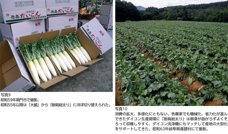 写真９、写真１０