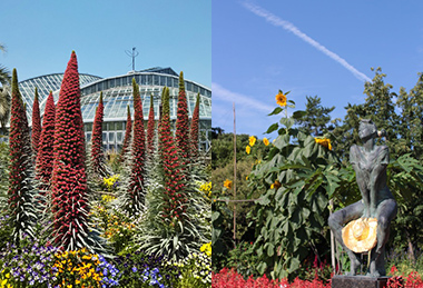 植物園は四季の変化を体感できる場所。