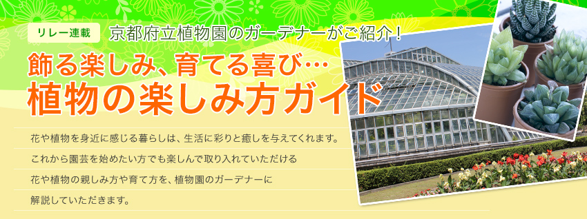 リレー連載 京都府立植物園のガーデナーがご紹介！ 飾る楽しみ、育てる喜び… 植物の楽しみ方ガイド