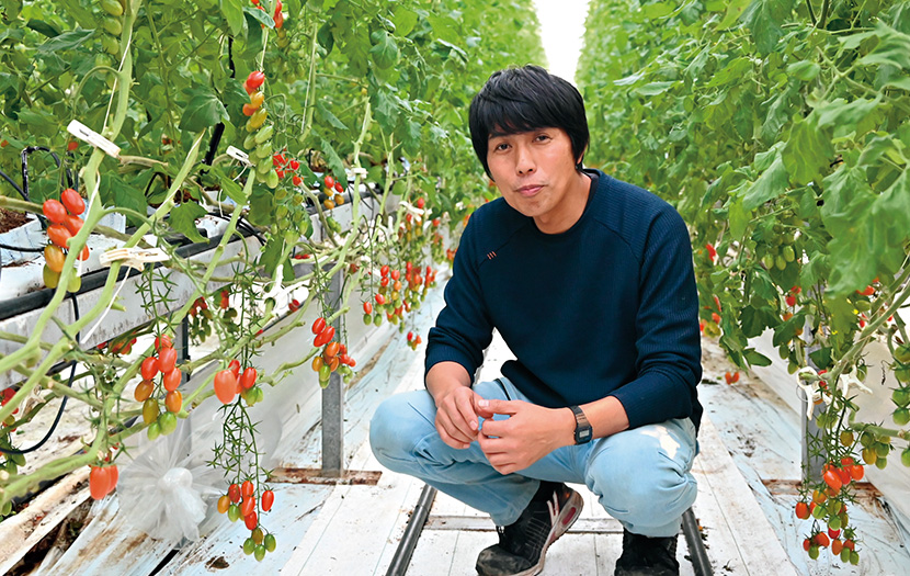 �k�Ђ��@�ɑ��ʂȕi��̃g�}�g�͔|�ɏ��o�����A�В��̑D���T������B