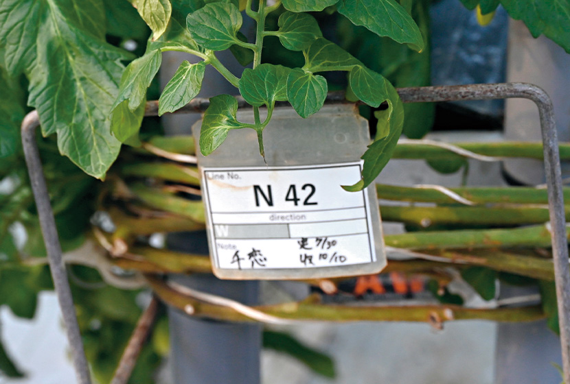 �ҏ��̑����V��30���ɒ�A�B�����ɐ��炵�Ă���B