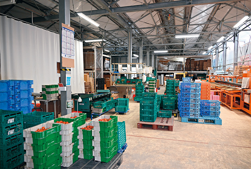 �͔|�ʐς͑S�̂�1.5ha�B�W�׏�ɂ́A���n���I������ʁA���ʁA�~�j�g�}�g���W�܂�B